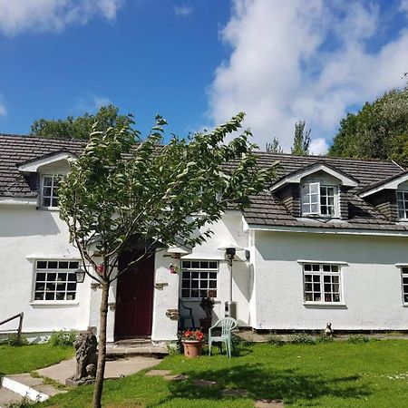 Coynant Farm Guesthouse - Farm Park Stay Суонси Экстерьер фото